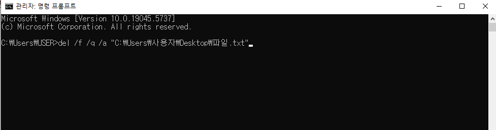 명령 프롬프트